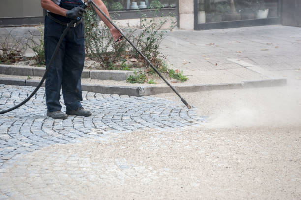 Best Fence Cleaning  in Aberdeen, IN