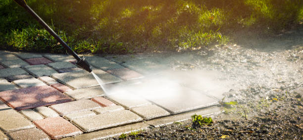 Best Animal Enclosure Cleaning  in Aberdeen, IN